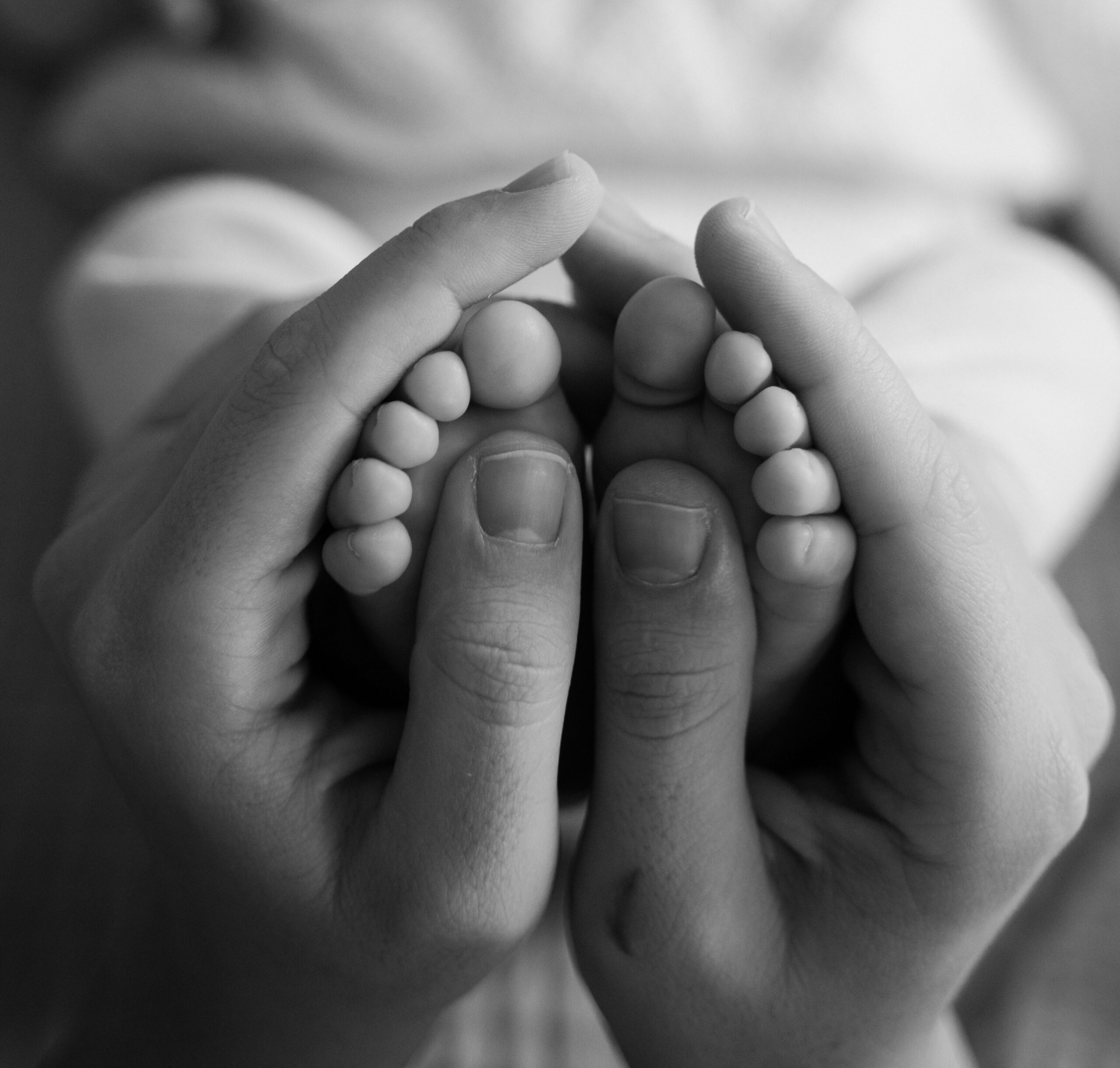 Newborn baby's feet cradled in a parent's hands, in black and white