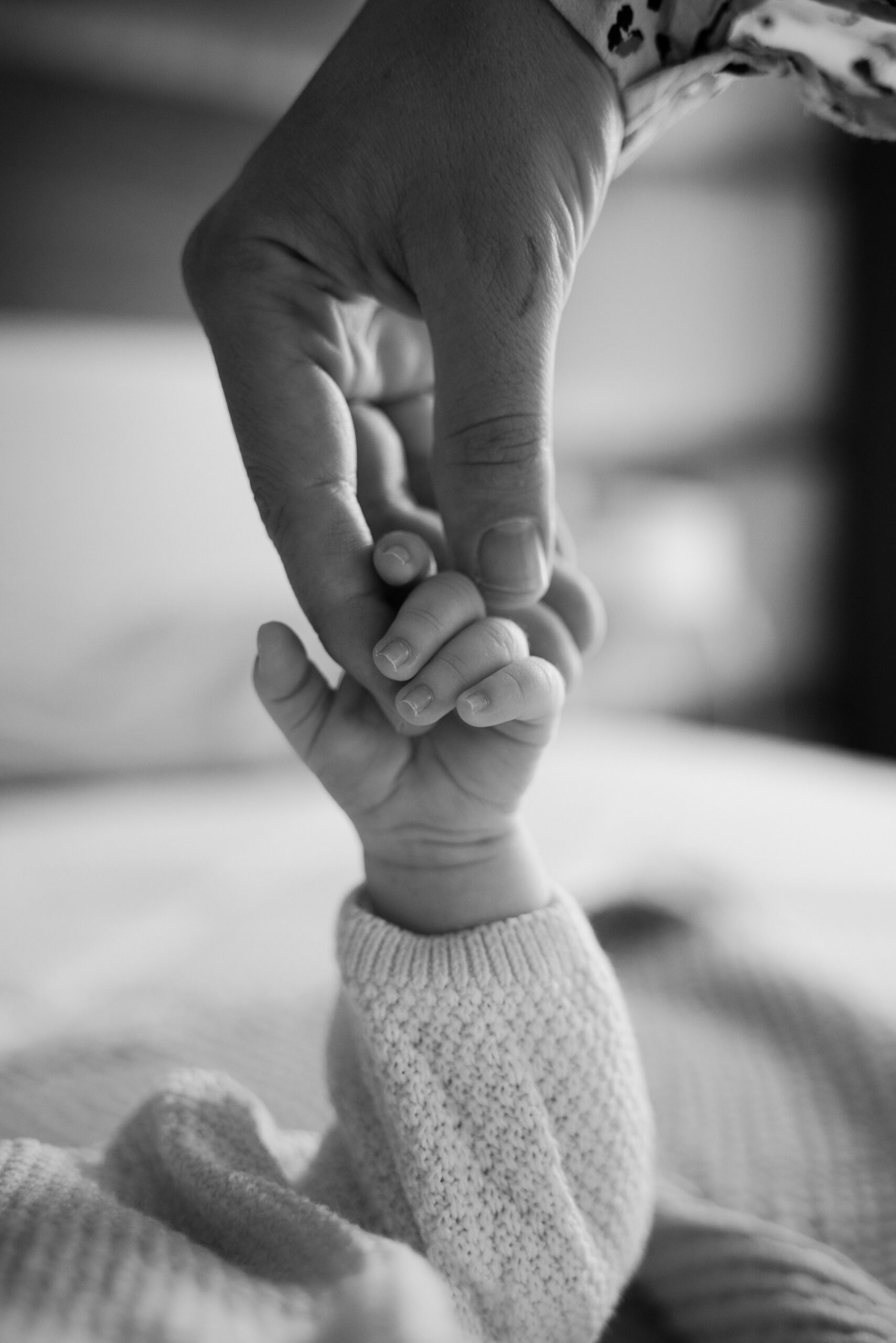 Baby's hand holding a parent's finger, in black and white